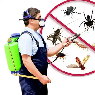 pest control Bethpage